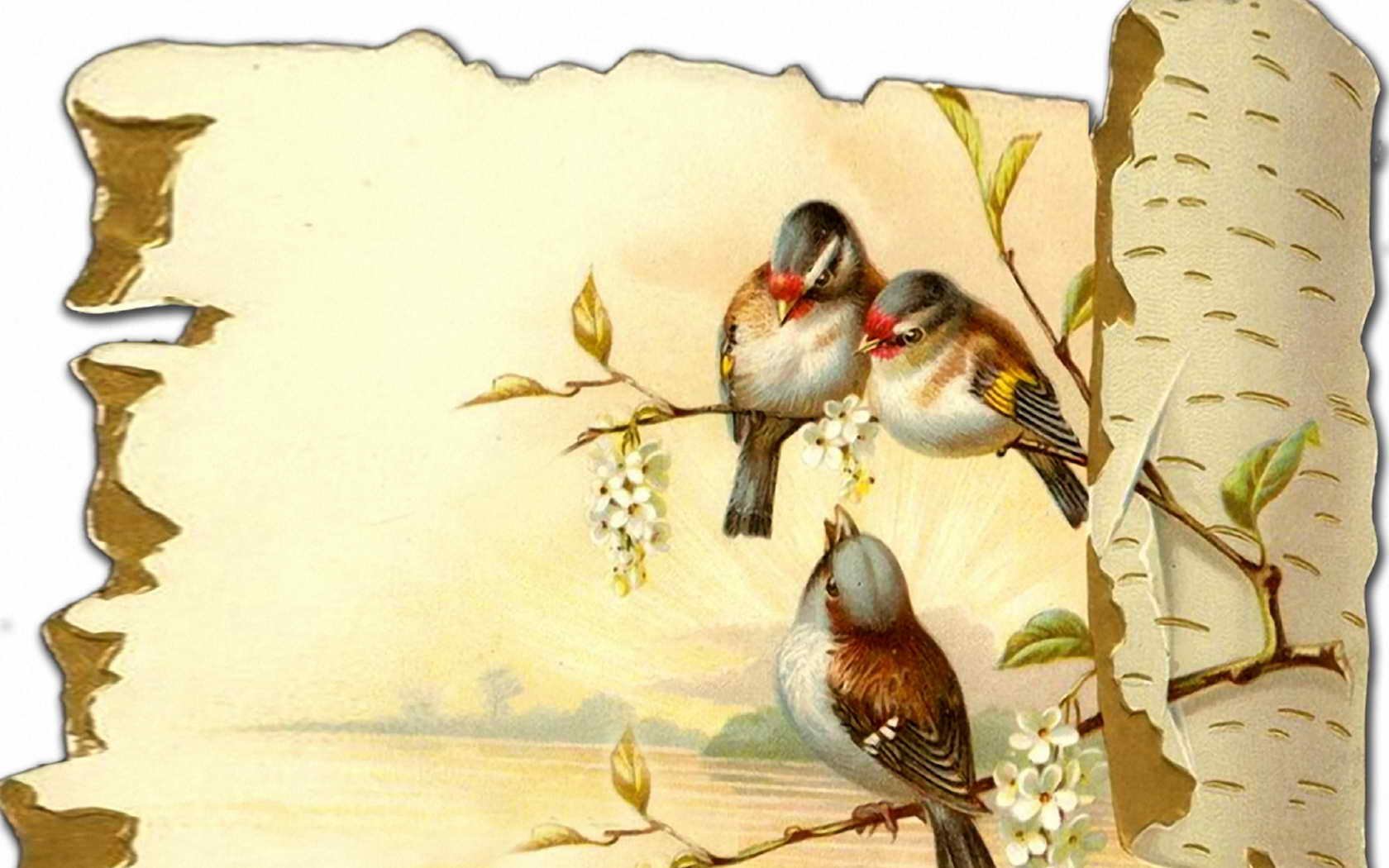 Доброе весеннее утро старинные открытки. Рамка день птиц. Фоторамка день птиц. Открытка с днём рождения с птичками. Рамка с птичками.