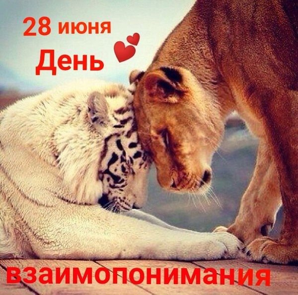День взаимопонимания 28 июня картинки