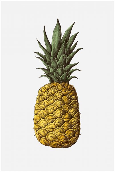 Ананас плакат