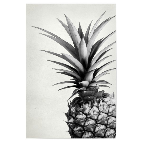 Ананас плакат