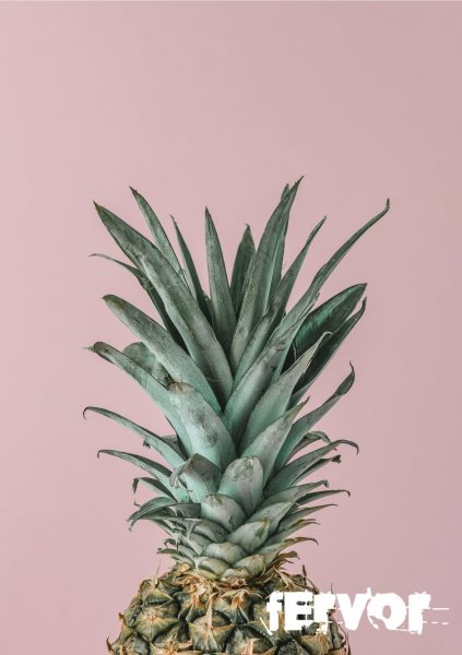 Постер ананас 50х70 см.в рамке