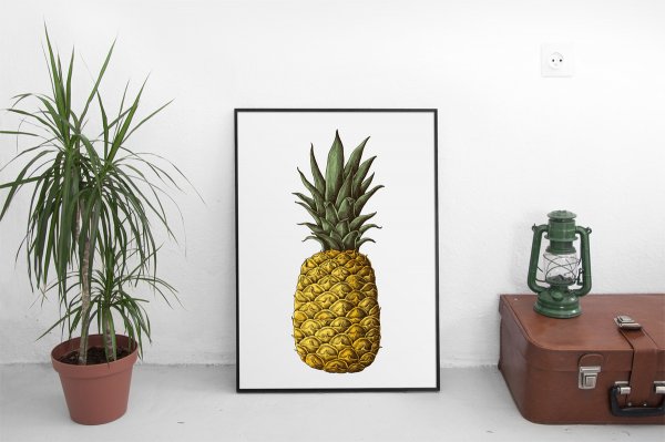 Ананас чёрно белый