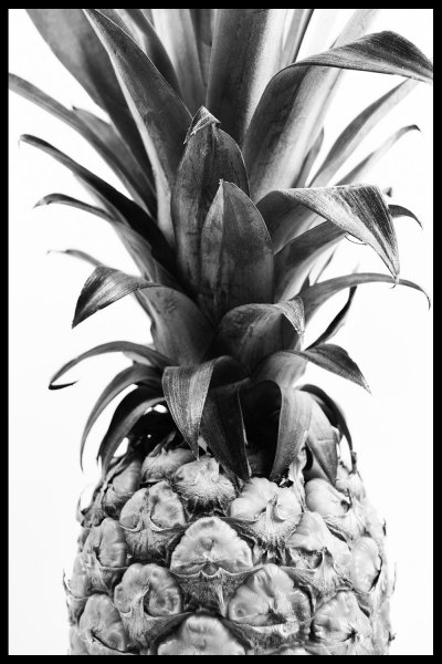 Ананас золото