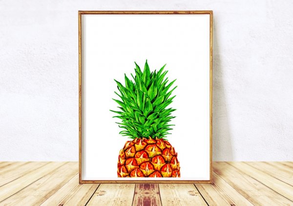 Ананас Ботаническая иллюстрация