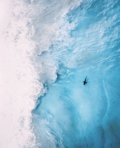 Океан вид сверху