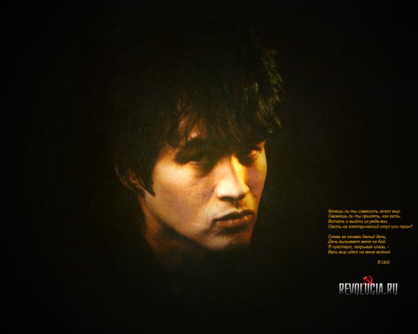 Цой музыкант 2020