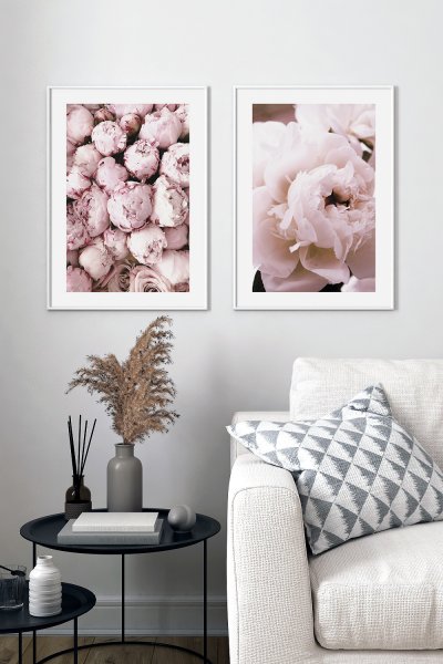 Пионы плакат