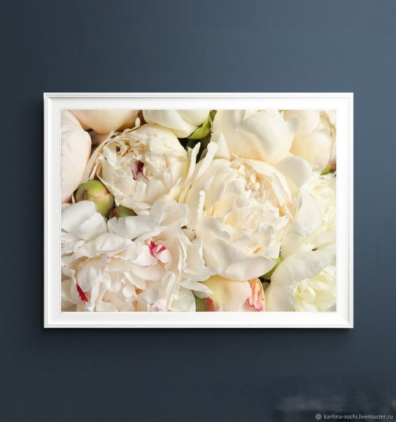 Постеры для интерьера в розовых тонах