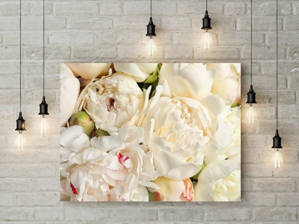 Постеры пионы для интерьера