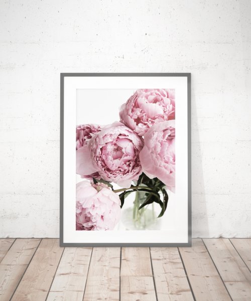 Постер белые пионы