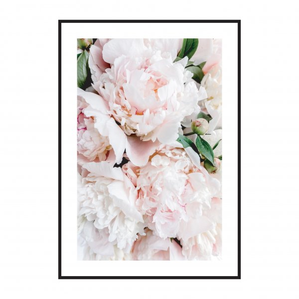 Самоклейка пионы