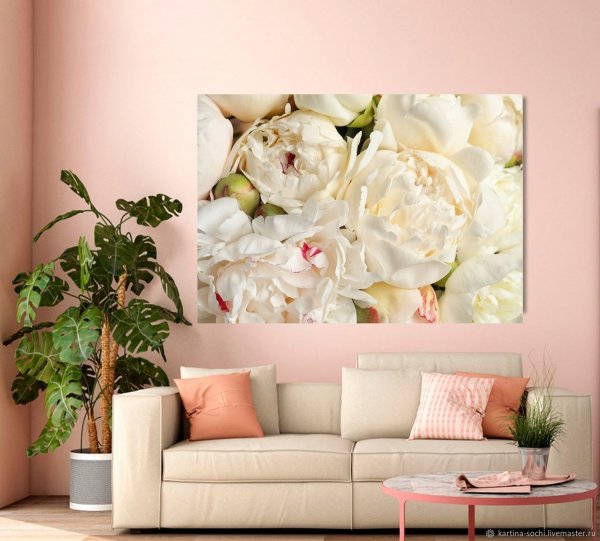 Бежевые пионы