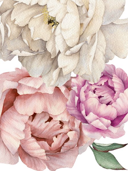 Пионы постеры для распечатки