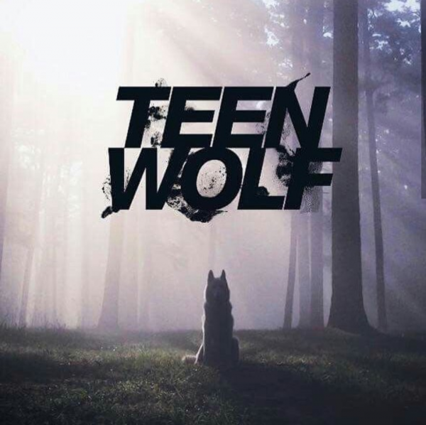 Волчонок логотип сериала