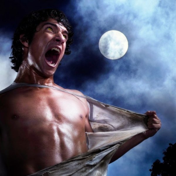 Ногицунэ Волчонок