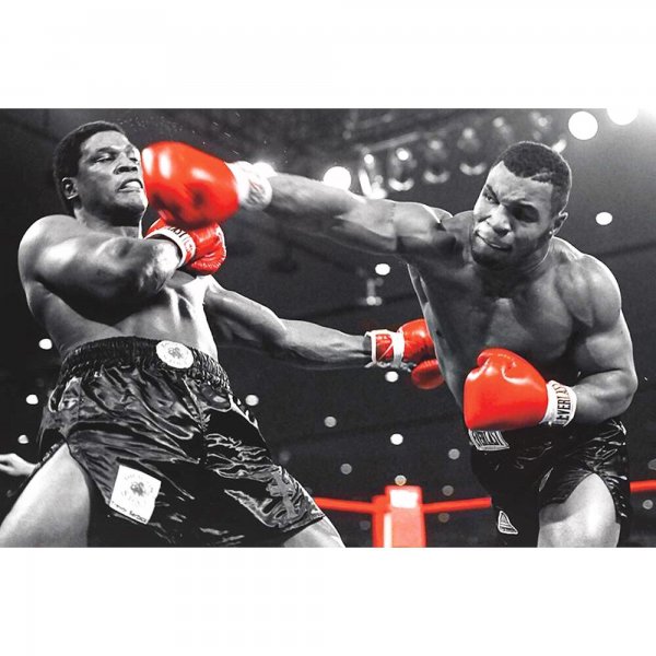 Майк Тайсон против Бербика