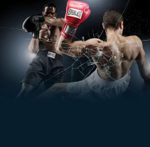 Обои для боксера