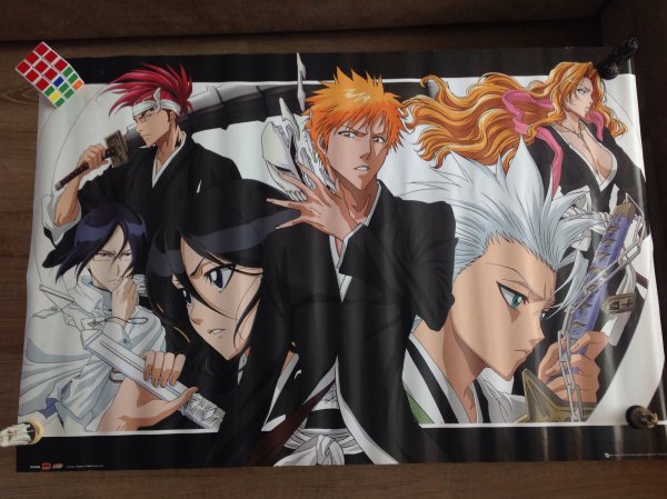 Рока Парамия Блич