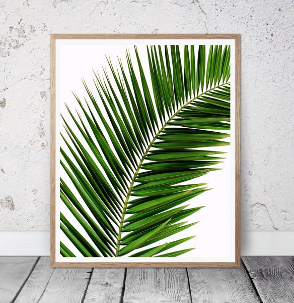 Пальмовые листья живопись