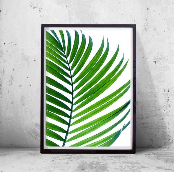 Пальмовые листья для печати