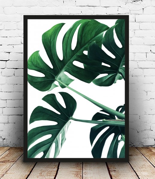 Постеры монстера в интерьере