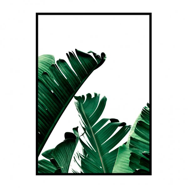 Листья монстеры для печати