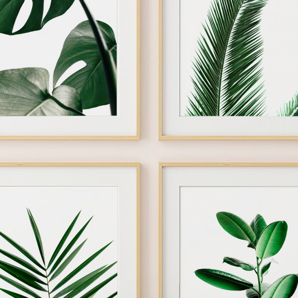 Постеры с растениями для печати