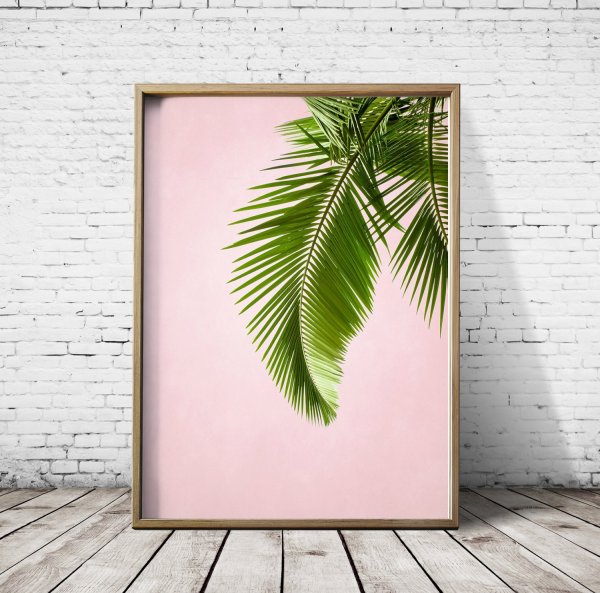 Постер "пальмы"