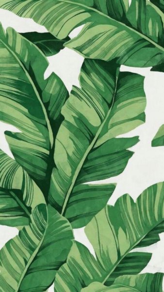 Тропические листья акварелью