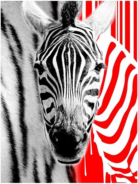 Зебра творчество с детьми