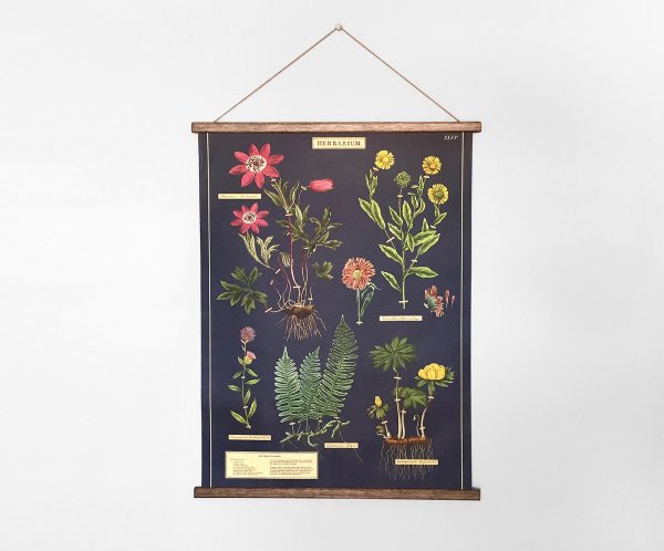 United States Botanical School textbooks