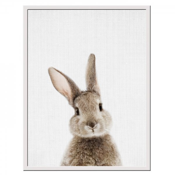 Постер заяц для печати