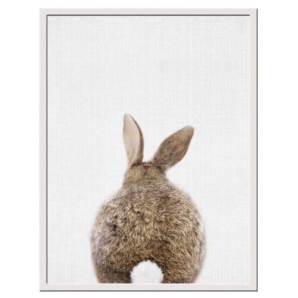 Мордочка кролика