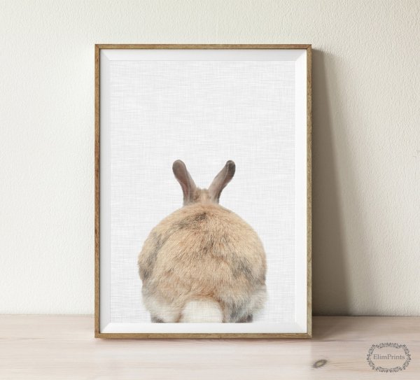 Постер кролик в овальной раме