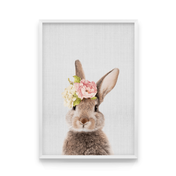Постер заяц