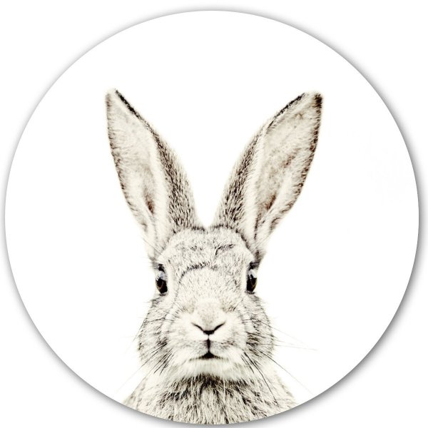 Кролик Постер в интерьере