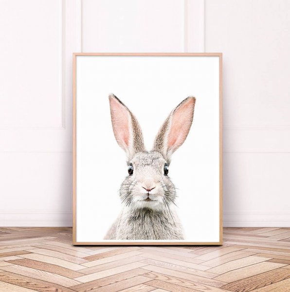 Картина кролик задом