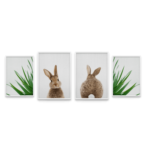 Кроличий принт