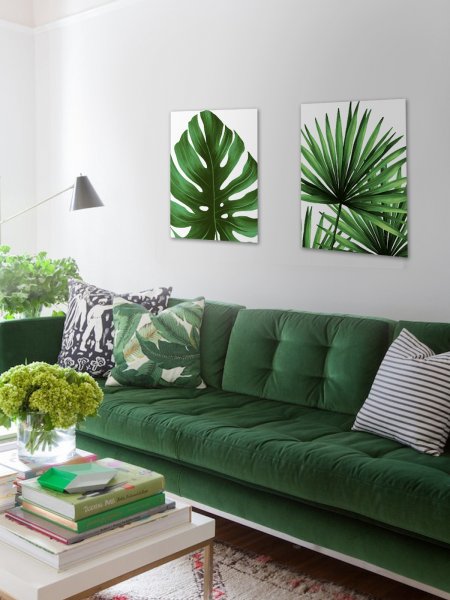 Постеры для салатовых стен