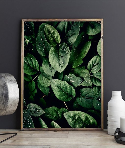 Постеры с зелеными листьями