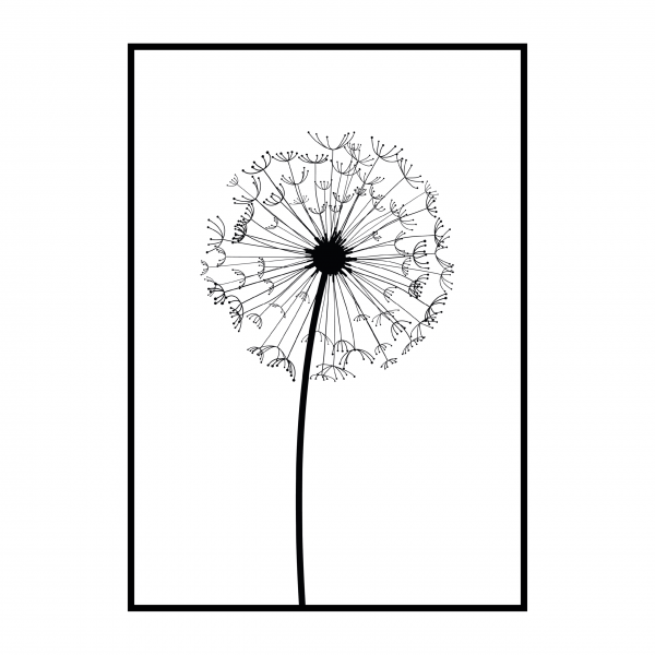 Постер "одуванчики"