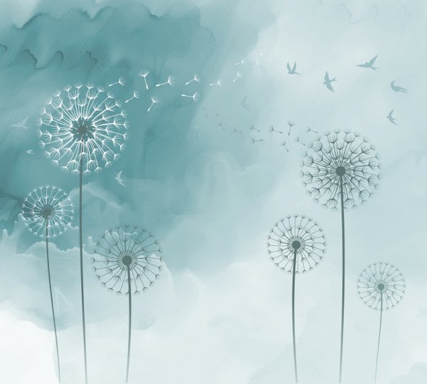 Постер "одуванчики"