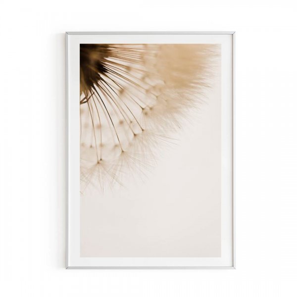 Одуванчик для постера на бежевом фоне