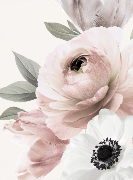 Постер цветок на белом фоне