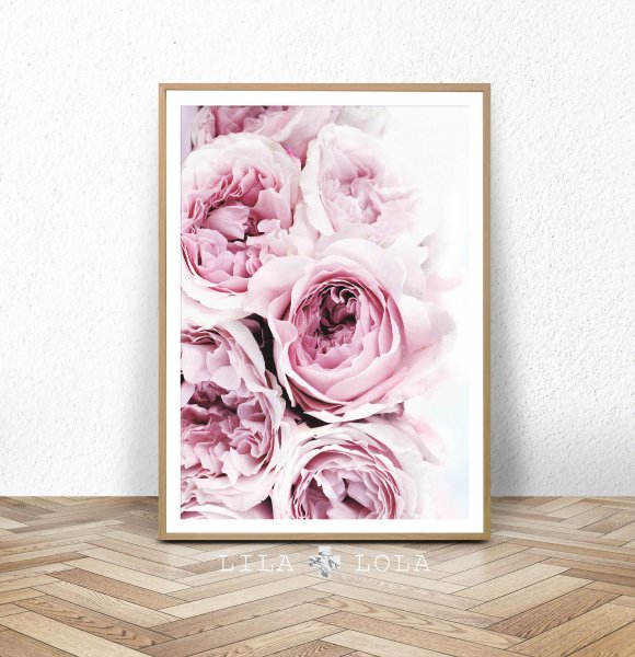 Постеры с цветами