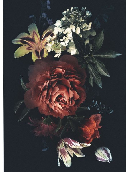 Постеры с цветами