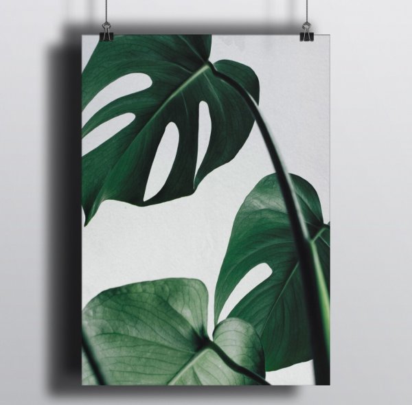 Постер суровый Лев (30x40)