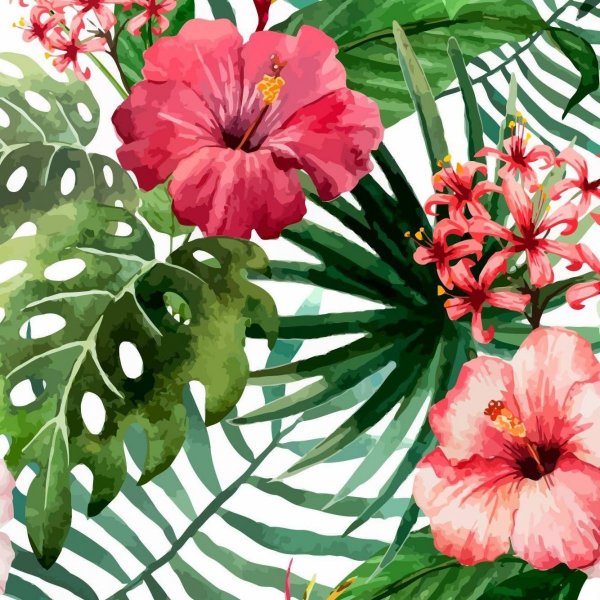 Тропические цветы