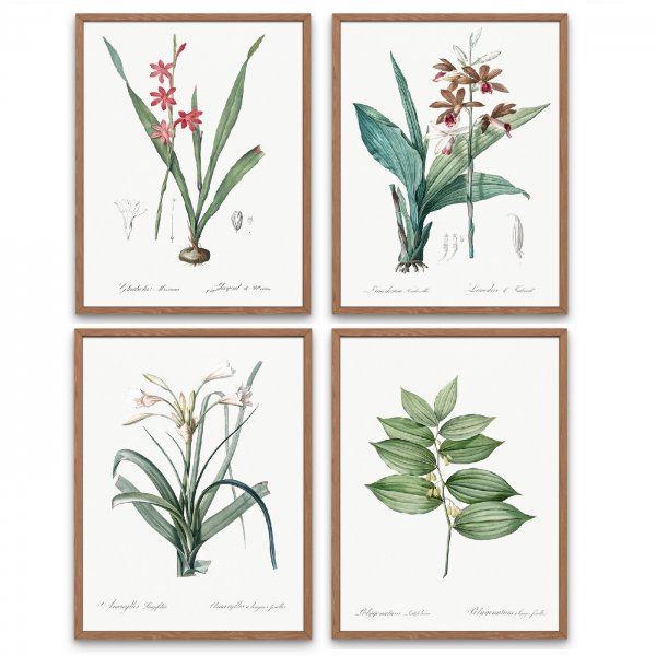 Ботанические постеры для печати