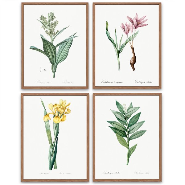 Ботанические постеры для печати